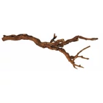 Szőlőtőke M / 40-70 cm
