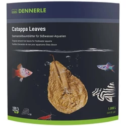 Dennerle Catappa Leaves (levél) 10 db