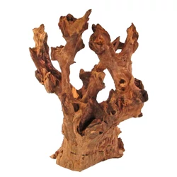 Barico Root gyökér