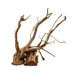 Curl Wood