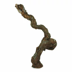 Szőlőtőke