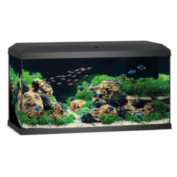 Juwel Primo 110 2.0 LED akvárium szett fekete