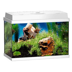 Juwel Primo 70 LED akvárium szett