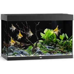 Juwel Rio 290 LED akvárium szett