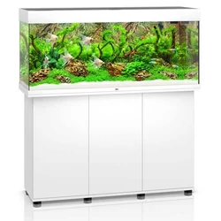 Juwel Rio 450 LED akvárium szett bútorral