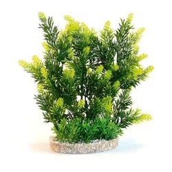 Sydeco Hedge műnövény 25 cm