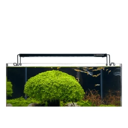 Kép 3/3 - Dennerle Trocal Flat 40 LED világítás