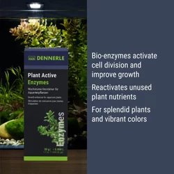 Kép 4/6 - Dennerle Plant Active Enzymes növekedés fokozó 50 g