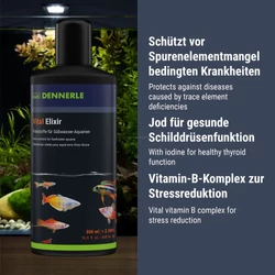 Kép 6/6 - Dennerle Vital Elixier vitamin 500 ml