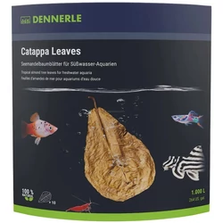 Kép 1/5 - Dennerle Catappa Leaves (levél) 10 db