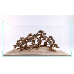 Kép 4/4 - Aqua-Bonsai fa