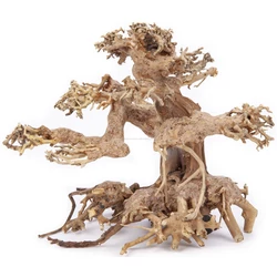 Kép 3/6 - Aqua-Bonsai fa