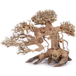 Kép 4/6 - Aqua-Bonsai fa