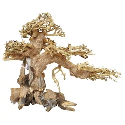 Kép 1/4 - Aqua-Bonsai fa
