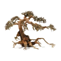 Kép 2/7 - Aqua-Bonsai fa