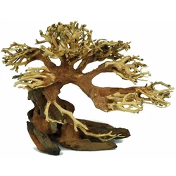 Kép 4/7 - Aqua-Bonsai fa