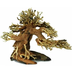 Kép 5/7 - Aqua-Bonsai fa