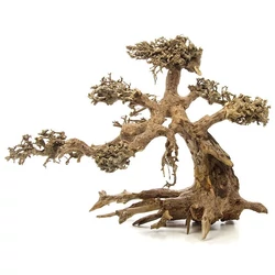 Kép 6/7 - Aqua-Bonsai fa