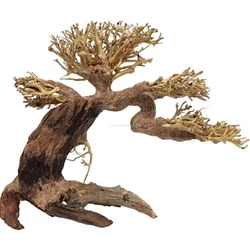 Kép 2/6 - Aqua-Bonsai fa