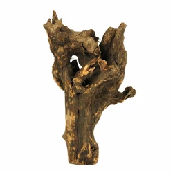 Kép 3/5 - Barico Root gyökér