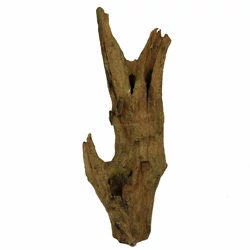 Kép 4/5 - Barico Root gyökér