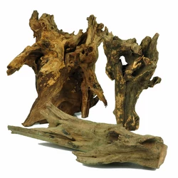 Kép 5/5 - Barico Root gyökér