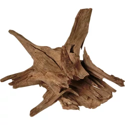 Kép 4/4 - Corbo Root 