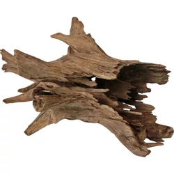Kép 3/4 - Corbo Root 