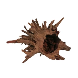 Kép 1/4 - Corbo Root 