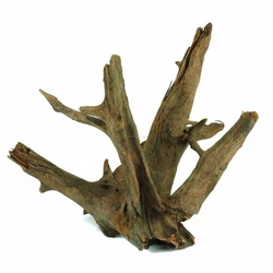 Kép 3/6 - Corbo Root 