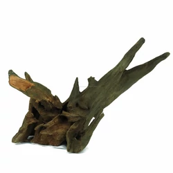 Kép 4/6 - Corbo Root 