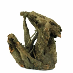 Kép 5/6 - Corbo Root 