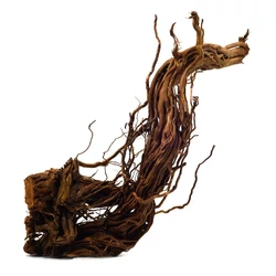 Kép 4/6 - Curl Wood