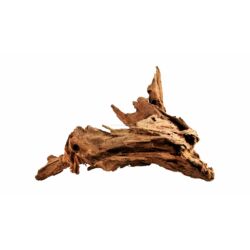 Kép 5/10 - Driftwood fa XL / 35-55 cm