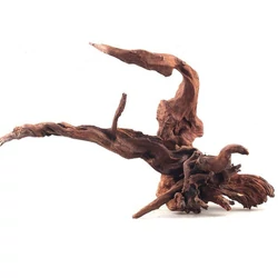 Kép 4/10 - Driftwood fa L / 25-45 cm