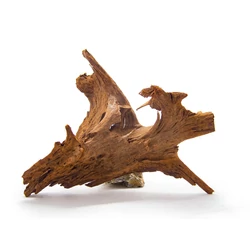 Kép 5/10 - Driftwood fa L / 25-45 cm
