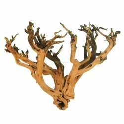 Kép 2/7 - Etosha Tree fa