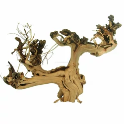 Kép 5/7 - Etosha Tree fa