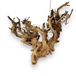 Kép 1/7 - Etosha Tree fa