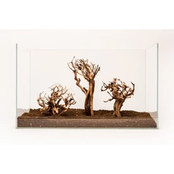 Kép 7/7 - Etosha Tree fa
