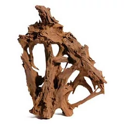 Kép 1/8 - Mangrove gyökér