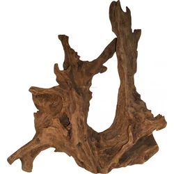 Kép 2/15 - Mangrove gyökér