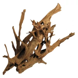 Kép 1/8 - Mangrove gyökér
