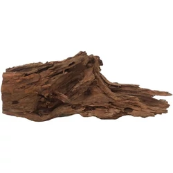 Kép 2/8 - Mangrove gyökér