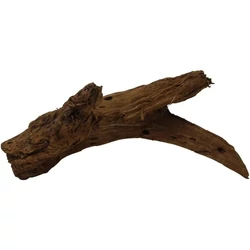 Kép 3/8 - Mangrove gyökér