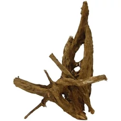 Kép 4/8 - Mangrove gyökér