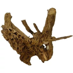 Kép 5/8 - Mangrove gyökér