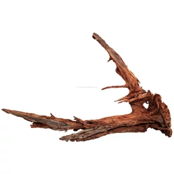 Kép 6/8 - Mangrove gyökér