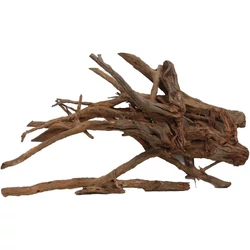 Kép 2/7 - Mangrove gyökér