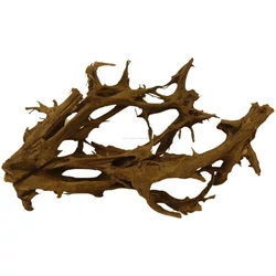 Kép 3/7 - Mangrove gyökér